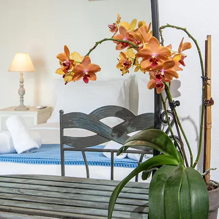 Dimitra With Private Pool And Sea View -the Ground Floor Of A Two Storey Building Holiday home *